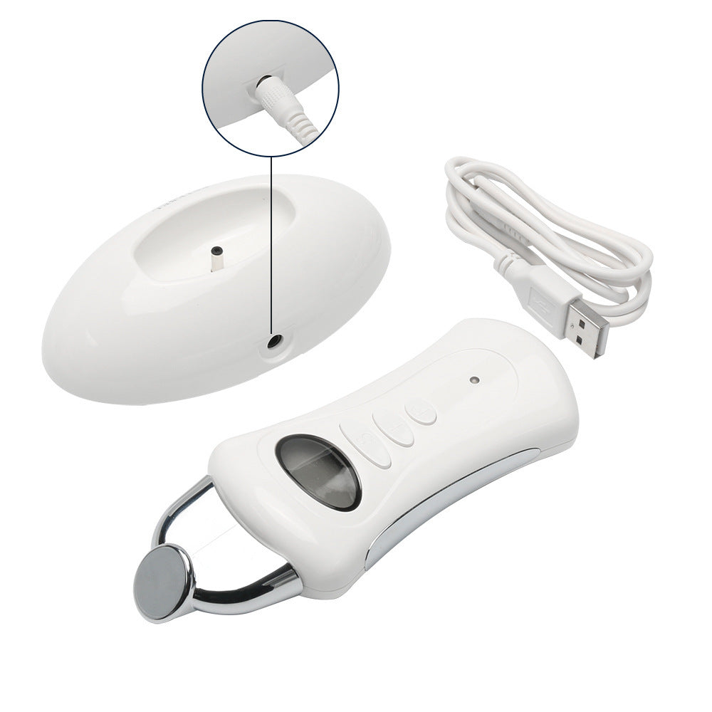 Micro-Current Ion Galvanic Handheld Spa Device